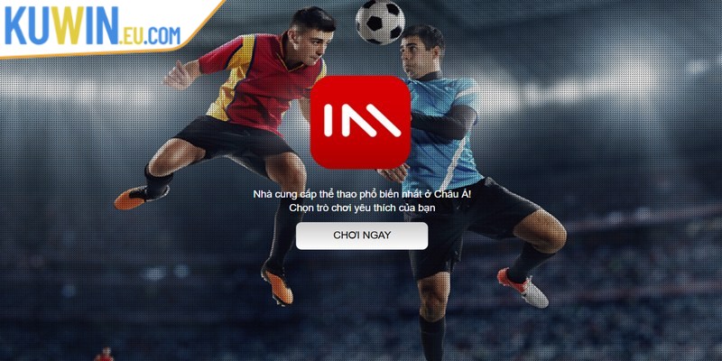 Bật mí kinh nghiệm chơi cá cược thể thao thắng lớn